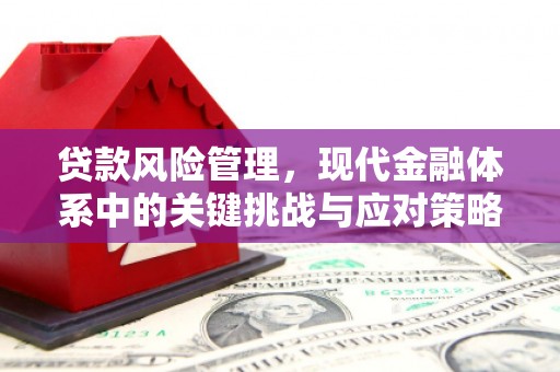 太和贷款风险管理，现代金融体系中的关键挑战与应对策略