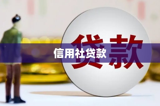 太和信用社贷款