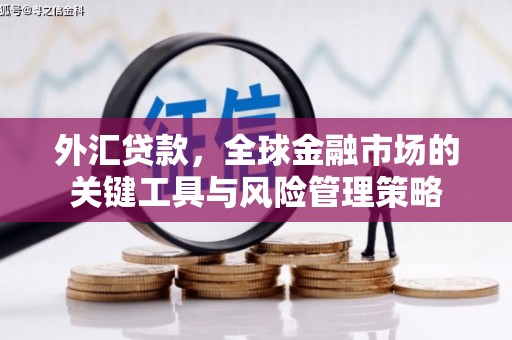 太和外汇贷款，全球金融市场的关键工具与风险管理策略