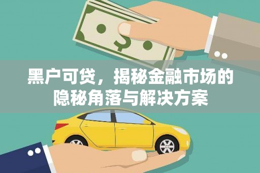 太和黑户可贷，揭秘金融市场的隐秘角落与解决方案