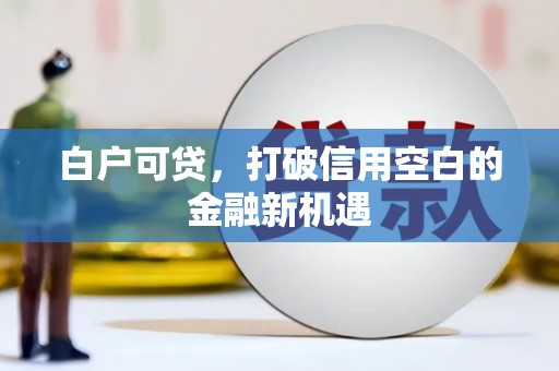 太和白户可贷，打破信用空白的金融新机遇