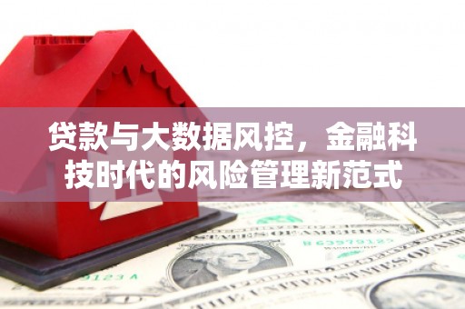 太和贷款与大数据风控，金融科技时代的风险管理新范式