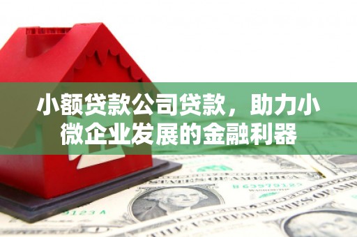 太和小额贷款公司贷款，助力小微企业发展的金融利器