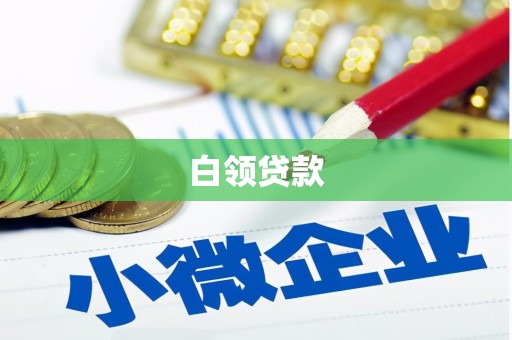 太和白领贷款