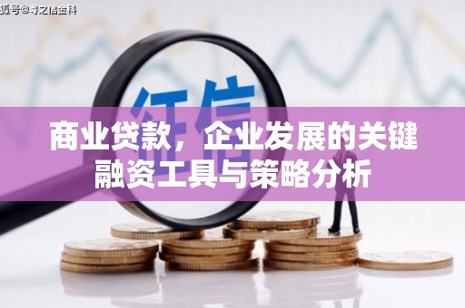 太和商业贷款，企业发展的关键融资工具与策略分析