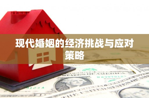 太和现代婚姻的经济挑战与应对策略