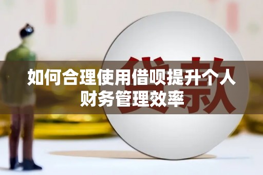太和如何合理使用借呗提升个人财务管理效率