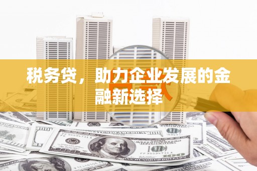 太和税务贷，助力企业发展的金融新选择