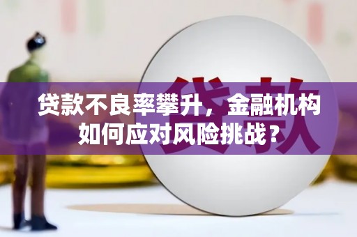 太和贷款不良率攀升，金融机构如何应对风险挑战？