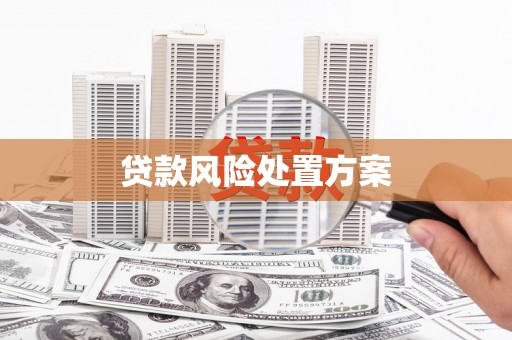 太和贷款风险处置方案
