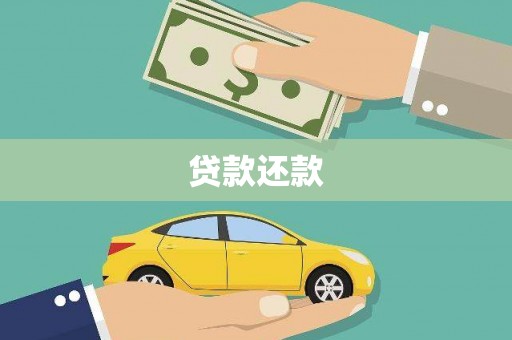 太和贷款还款