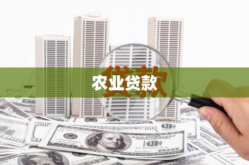 太和农业贷款