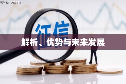太和解析、优势与未来发展