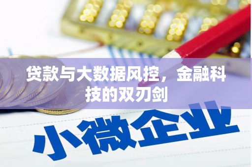 太和贷款与大数据风控，金融科技的双刃剑