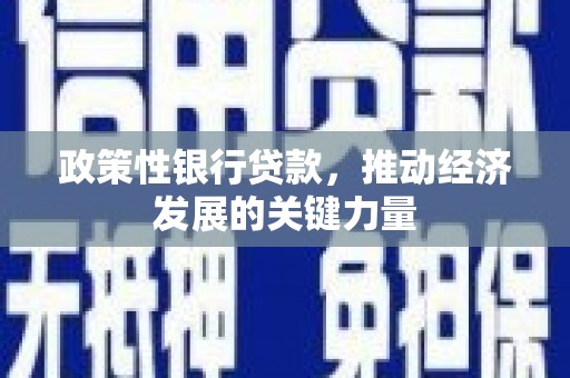 太和政策性银行贷款，推动经济发展的关键力量