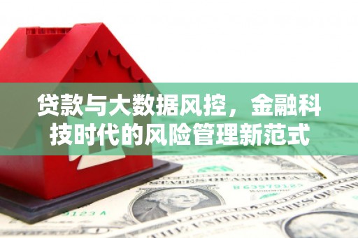 太和贷款与大数据风控，金融科技时代的风险管理新范式