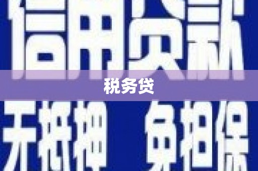 太和税务贷