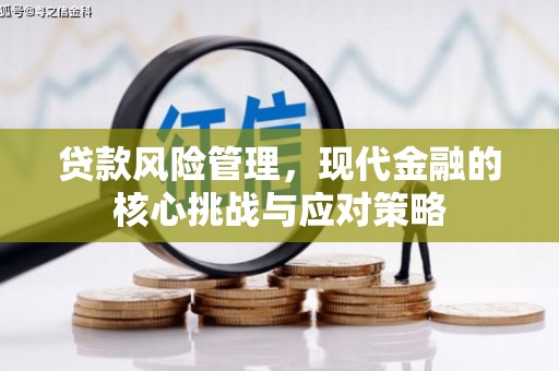 太和贷款风险管理，现代金融的核心挑战与应对策略