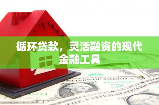 太和循环贷款，灵活融资的现代金融工具