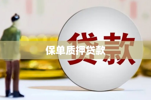 太和保单质押贷款