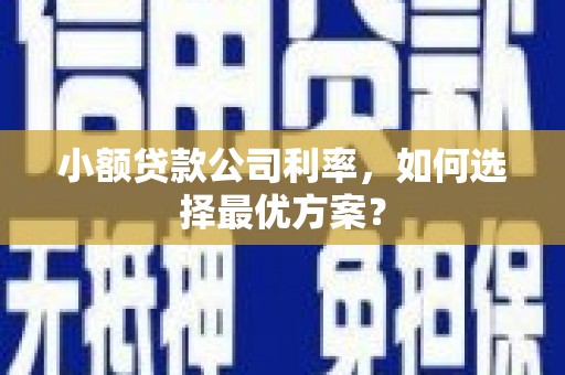 太和小额贷款公司利率，如何选择最优方案？