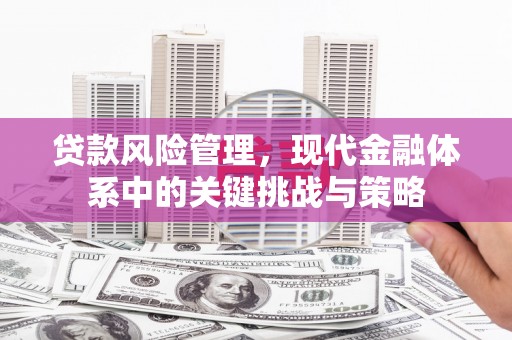 太和贷款风险管理，现代金融体系中的关键挑战与策略