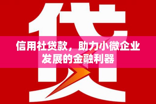 太和信用社贷款，助力小微企业发展的金融利器