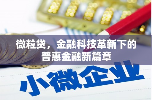 太和微粒贷，金融科技革新下的普惠金融新篇章