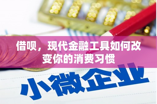太和借呗，现代金融工具如何改变你的消费习惯