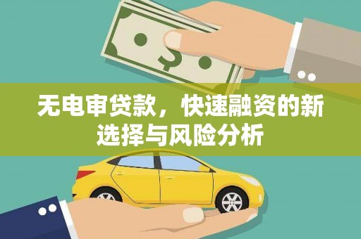 太和无电审贷款，快速融资的新选择与风险分析