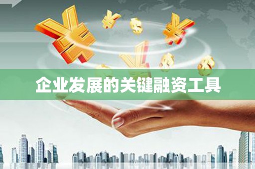 太和企业发展的关键融资工具