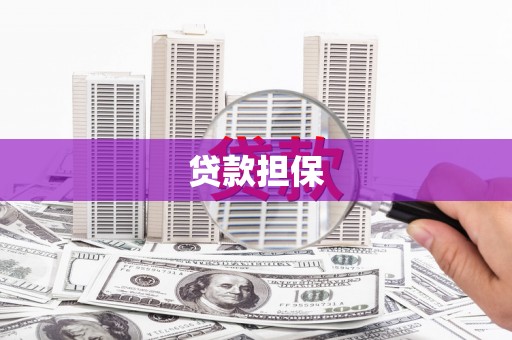 太和贷款担保