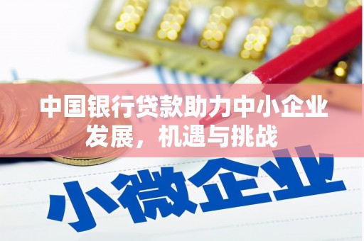 太和中国银行贷款助力中小企业发展，机遇与挑战