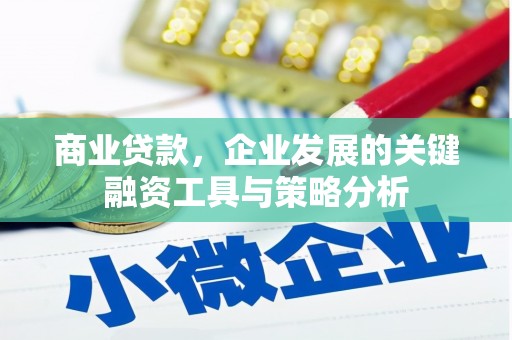太和商业贷款，企业发展的关键融资工具与策略分析