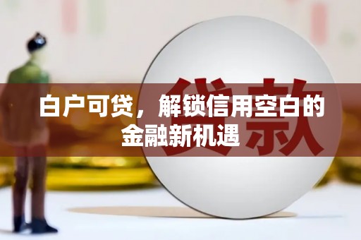 太和白户可贷，解锁信用空白的金融新机遇