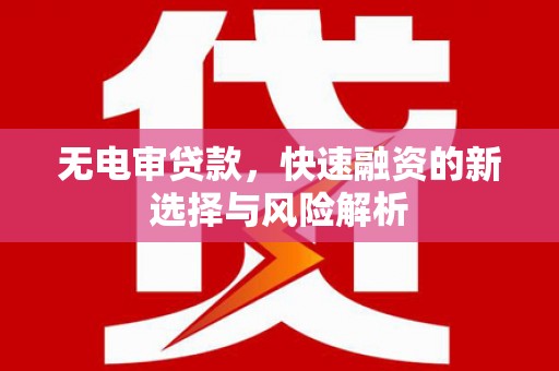 太和无电审贷款，快速融资的新选择与风险解析