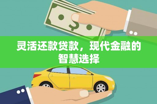 太和灵活还款贷款，现代金融的智慧选择
