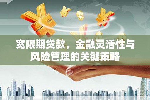 太和宽限期贷款，金融灵活性与风险管理的关键策略