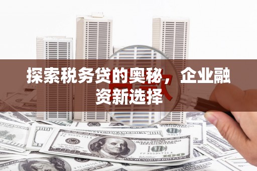 太和探索税务贷的奥秘，企业融资新选择