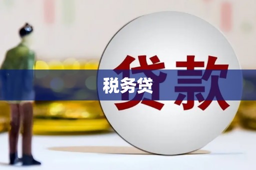 太和税务贷