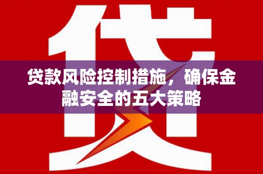 太和贷款风险控制措施，确保金融安全的五大策略
