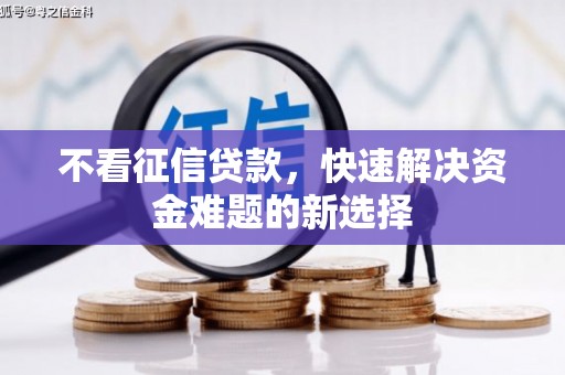 太和不看征信贷款，快速解决资金难题的新选择