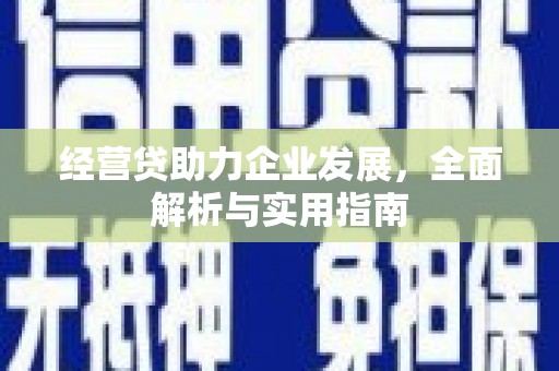太和经营贷助力企业发展，全面解析与实用指南