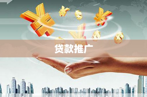 太和贷款推广