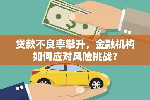 太和贷款不良率攀升，金融机构如何应对风险挑战？