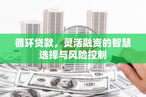 太和循环贷款，灵活融资的智慧选择与风险控制