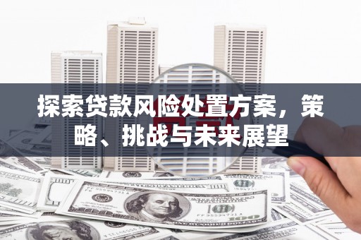 太和探索贷款风险处置方案，策略、挑战与未来展望