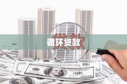 太和循环贷款