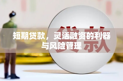 太和短期贷款，灵活融资的利器与风险管理