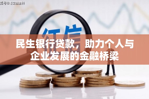 太和民生银行贷款，助力个人与企业发展的金融桥梁